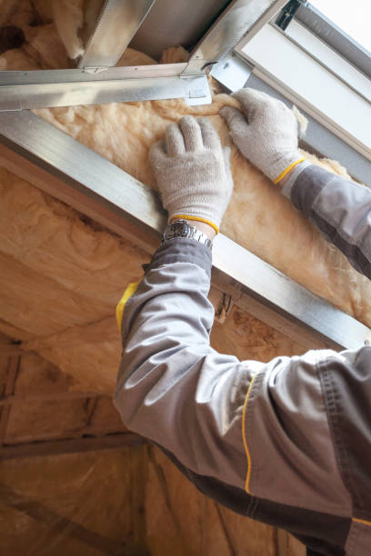 Best Insulation Removal  in Atlantic Beach, NC