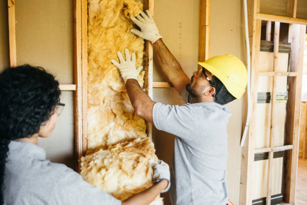 Best Insulation Replacement Services  in Atlantic Beach, NC